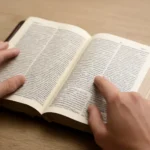 menge bibel