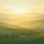 Psalm 132 — Shir Hama'alot | Text, Bedeutung und Betrachtung